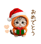 飛び出す スコティッシュ猫 可愛いみかん服（個別スタンプ：12）
