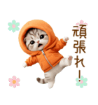 飛び出す スコティッシュ猫 可愛いみかん服（個別スタンプ：14）
