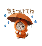 飛び出す スコティッシュ猫 可愛いみかん服（個別スタンプ：18）