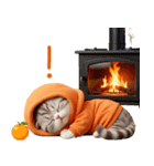 飛び出す スコティッシュ猫 可愛いみかん服（個別スタンプ：19）