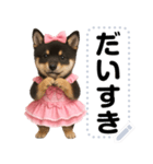 アイドル黒柴赤ちゃん＠メッセージスタンプ（個別スタンプ：13）