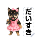 アイドル黒柴赤ちゃん＠メッセージスタンプ（個別スタンプ：17）