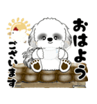 飛び出すB＆Wシーズー犬 2025 「冬・年末2」（個別スタンプ：1）