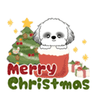 飛び出すB＆Wシーズー犬 2025 「冬・年末2」（個別スタンプ：3）