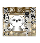 飛び出すB＆Wシーズー犬 2025 「冬・年末2」（個別スタンプ：5）