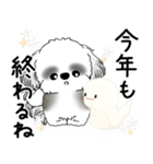 飛び出すB＆Wシーズー犬 2025 「冬・年末2」（個別スタンプ：11）