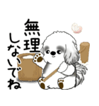 飛び出すB＆Wシーズー犬 2025 「冬・年末2」（個別スタンプ：13）