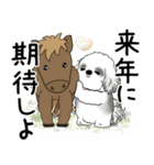 飛び出すB＆Wシーズー犬 2025 「冬・年末2」（個別スタンプ：15）