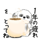 飛び出すB＆Wシーズー犬 2025 「冬・年末2」（個別スタンプ：17）