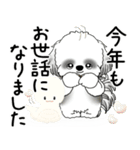 飛び出すB＆Wシーズー犬 2025 「冬・年末2」（個別スタンプ：19）