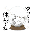 飛び出すB＆Wシーズー犬 2025 「冬・年末2」（個別スタンプ：23）