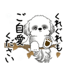 飛び出すB＆Wシーズー犬 2025 「冬・年末2」（個別スタンプ：24）