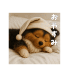 毎年つかえる♡シェルティの冬＆年末年始（個別スタンプ：2）