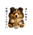 毎年つかえる♡シェルティの冬＆年末年始（個別スタンプ：25）