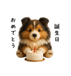 毎年つかえる♡シェルティの冬＆年末年始（個別スタンプ：27）