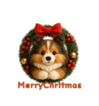 毎年つかえる♡シェルティの冬＆年末年始（個別スタンプ：28）