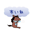 モブ馬隊の冬Winter（個別スタンプ：1）