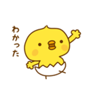 ひよこのピッピ_ ワクワクな毎日（個別スタンプ：1）