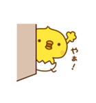 ひよこのピッピ_ ワクワクな毎日（個別スタンプ：10）