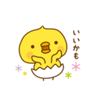 ひよこのピッピ_ ワクワクな毎日（個別スタンプ：22）