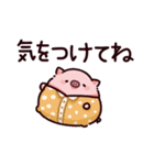 気をつけてのぶた（個別スタンプ：13）