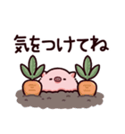 気をつけてのぶた（個別スタンプ：14）