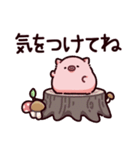 気をつけてのぶた（個別スタンプ：15）