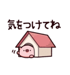 気をつけてのぶた（個別スタンプ：16）