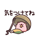 気をつけてのぶた（個別スタンプ：18）