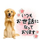 ゴールデンレトリバー★大人な優しい敬語（個別スタンプ：23）