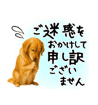 ゴールデンレトリバー★大人な優しい敬語（個別スタンプ：26）