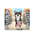 チワワの気遣いスタンプ（個別スタンプ：11）