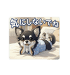 チワワの気遣いスタンプ（個別スタンプ：15）