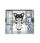 チワワの気遣いスタンプ（個別スタンプ：19）