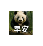 熊！熊！熊！スタンプ日常編（台湾華語）（個別スタンプ：1）