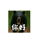 熊！熊！熊！スタンプ日常編（台湾華語）（個別スタンプ：2）