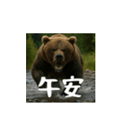 熊！熊！熊！スタンプ日常編（台湾華語）（個別スタンプ：3）