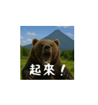 熊！熊！熊！スタンプ日常編（台湾華語）（個別スタンプ：10）