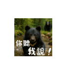 熊！熊！熊！スタンプ日常編（台湾華語）（個別スタンプ：12）