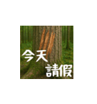 熊！熊！熊！スタンプ日常編（台湾華語）（個別スタンプ：16）