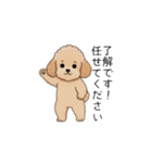 使いやすい長文のトイプー(アプリコット)（個別スタンプ：6）