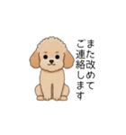 使いやすい長文のトイプー(アプリコット)（個別スタンプ：8）