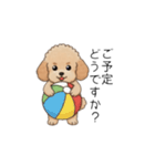 使いやすい長文のトイプー(アプリコット)（個別スタンプ：9）