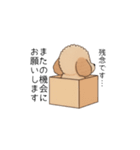 使いやすい長文のトイプー(アプリコット)（個別スタンプ：12）