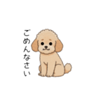 使いやすい長文のトイプー(アプリコット)（個別スタンプ：13）