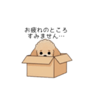 使いやすい長文のトイプー(アプリコット)（個別スタンプ：16）