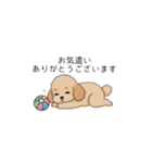 使いやすい長文のトイプー(アプリコット)（個別スタンプ：17）