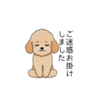 使いやすい長文のトイプー(アプリコット)（個別スタンプ：18）