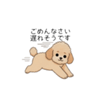 使いやすい長文のトイプー(アプリコット)（個別スタンプ：19）