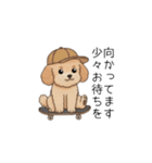 使いやすい長文のトイプー(アプリコット)（個別スタンプ：21）